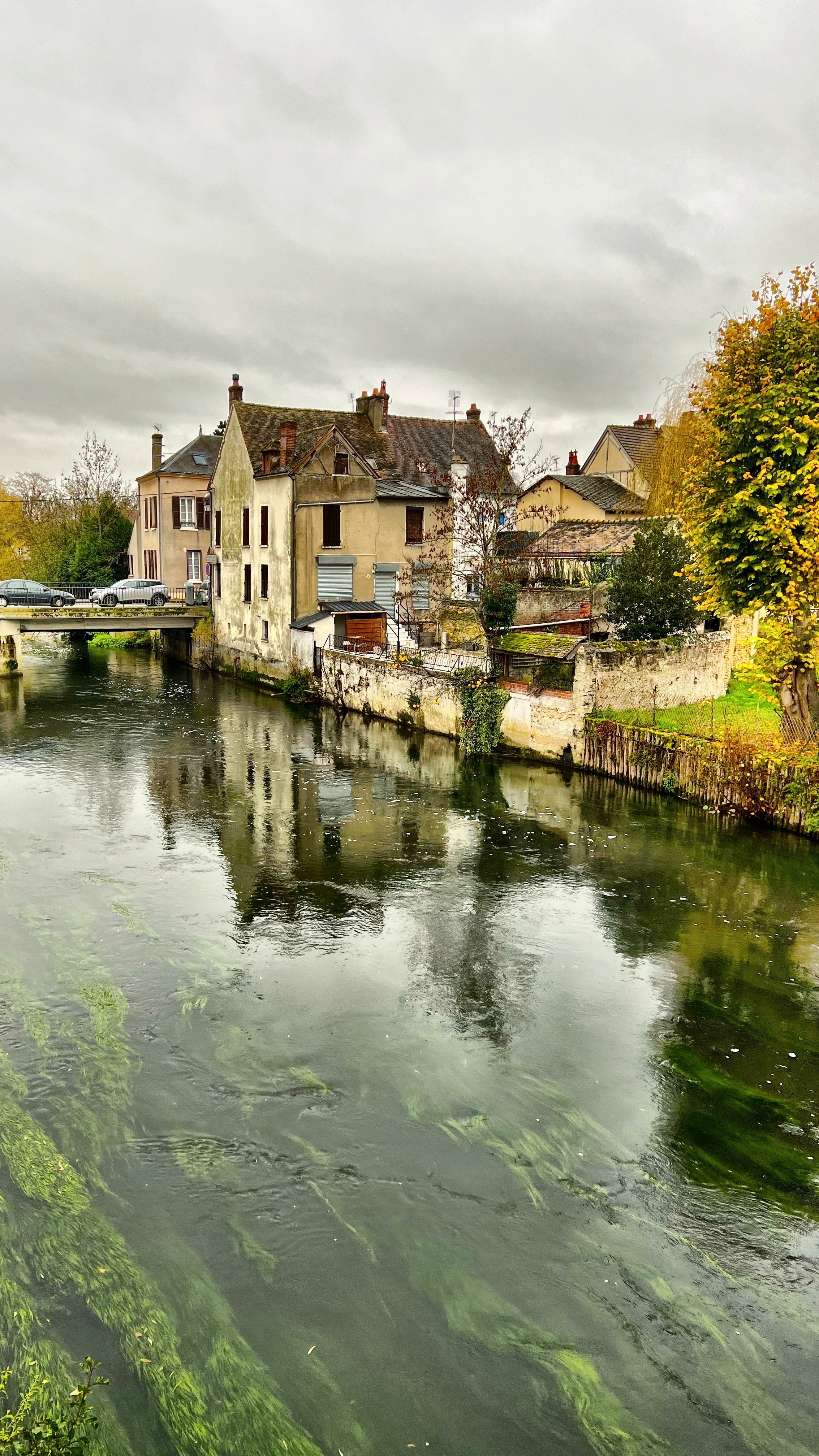 Photo n° 5 de l'avis de BOYER.� fait le 25/09/2023 à 23:51