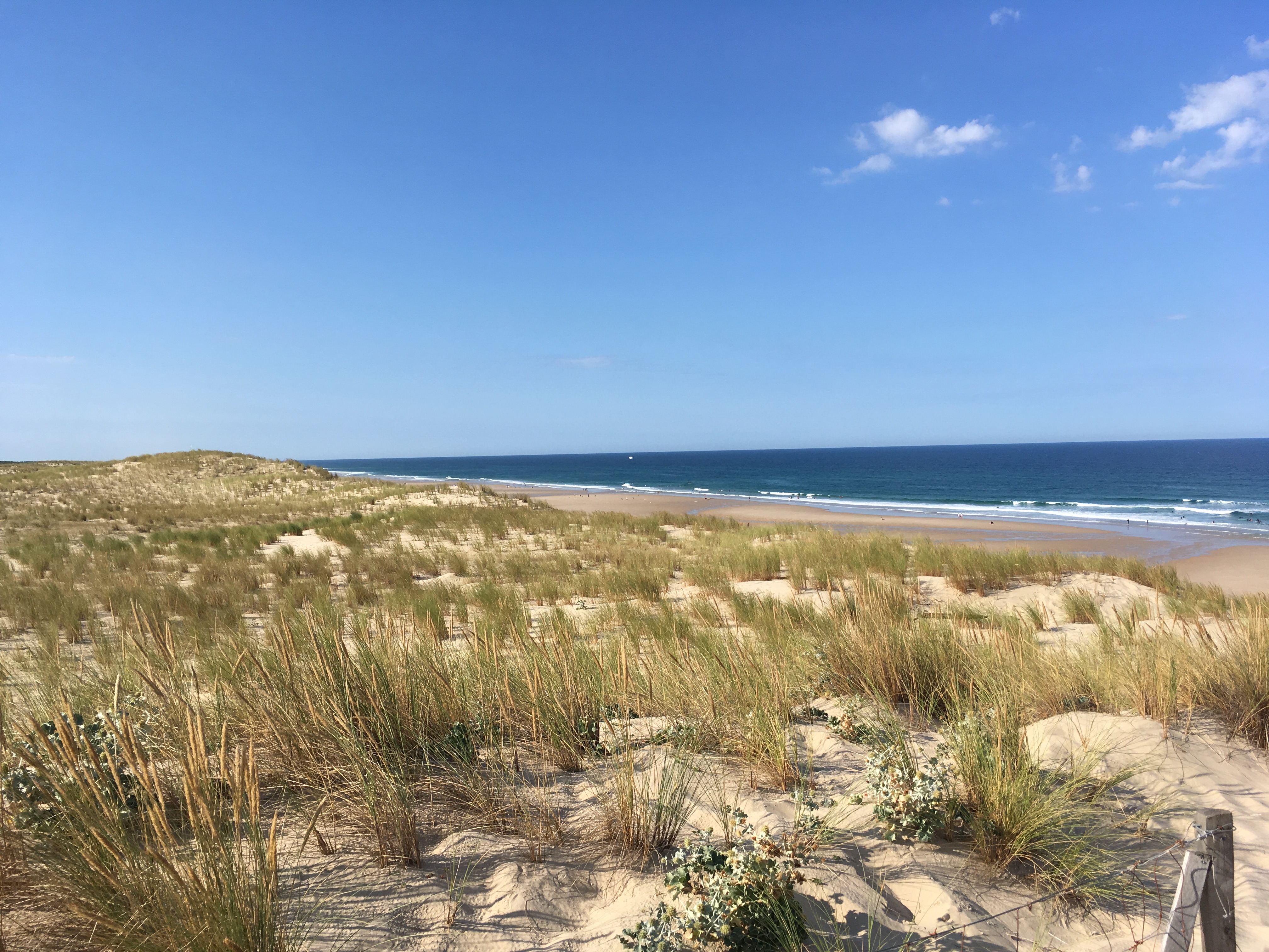 Photo n° 1 de l'avis de Joaquin.a fait le 15/08/2018 à 18:41