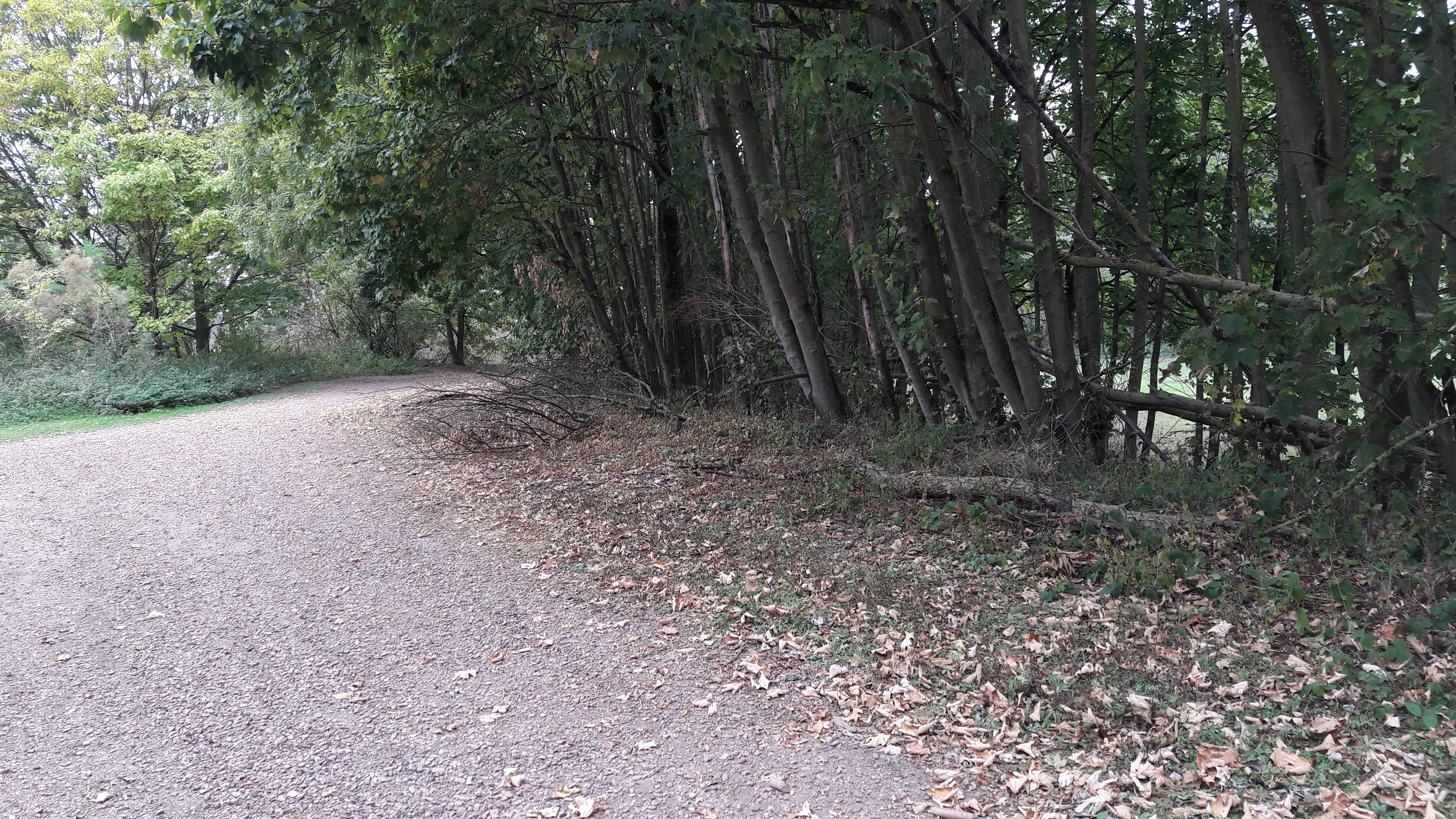 Photo n° 34 de l'avis de Alfa.l fait le 12/09/2019 à 04:09