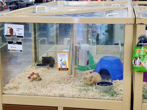 Pet Supply Store «Pet Supermarket», reviews and photos, 10291 Pines Blvd, Pembroke Pines, FL 33026, USA