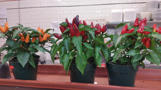 Grocery Store «C-Town Supermarkets», reviews and photos, 272 Maple St, Perth Amboy, NJ 08861, USA