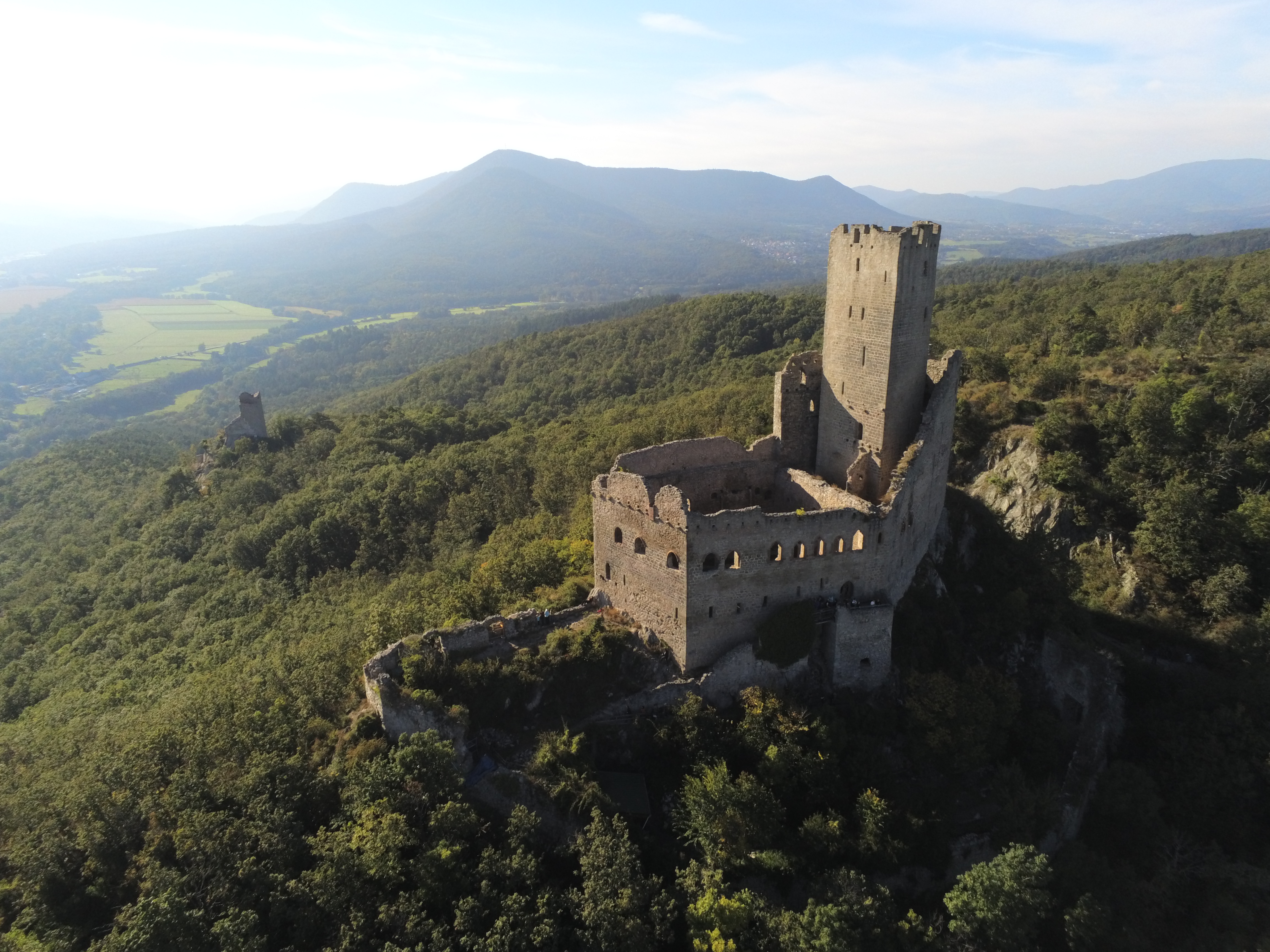 Photo n° 10 de l'avis de Céline,.a fait le 10/10/2021 à 19:13