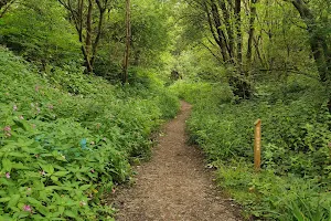 Outwood Country Park image