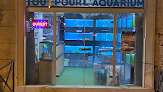 Aquarium service + Saumur