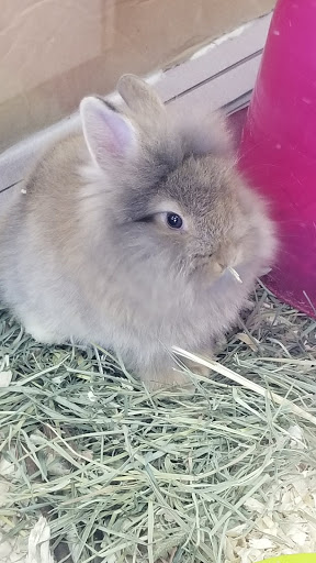 Pet Store «Pet Nation Llc», reviews and photos, 1898 Andorra St, Navarre, FL 32566, USA