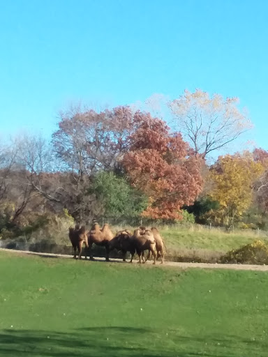 Zoo «Minnesota Zoo», reviews and photos, 13000 Zoo Blvd, Apple Valley, MN 55124, USA