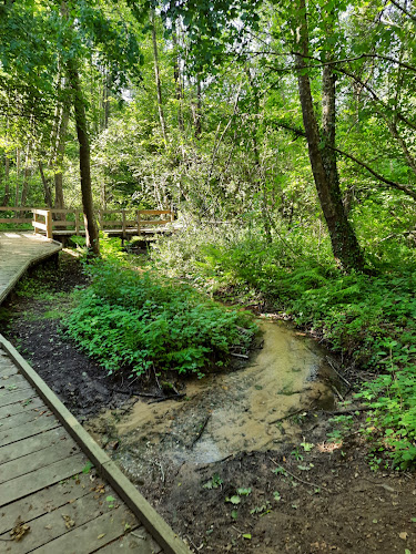 attractions Domaine de La Beue Varennes-Vauzelles