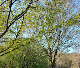 Parkplatz am Baggerloch photo