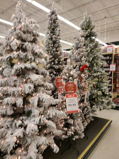 Craft Store «Hobby Lobby», reviews and photos, 1235 Farmington Ave, Bristol, CT 06010, USA