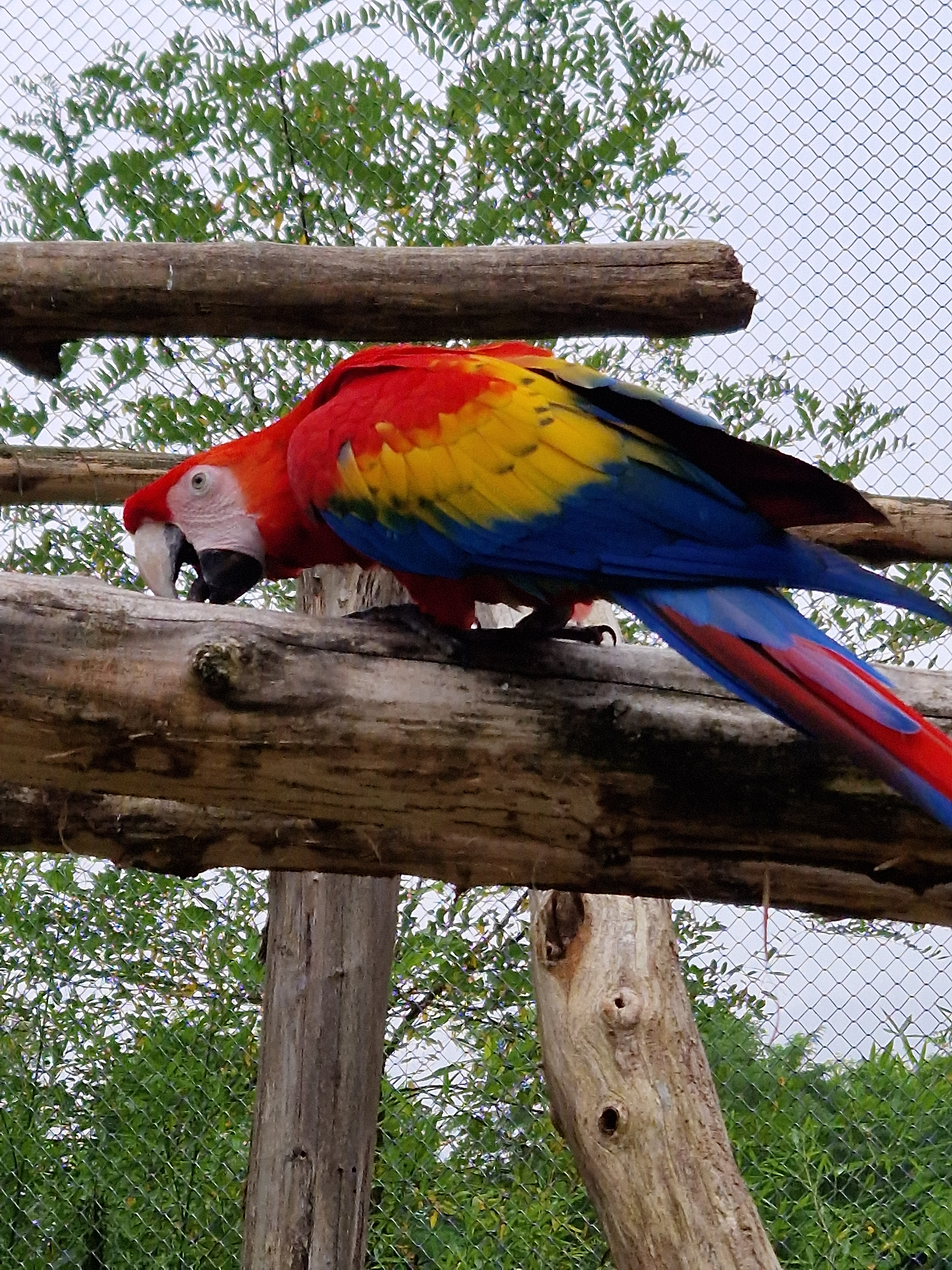 Photo n° 1 de l'avis de Alexandre.a fait le 31/08/2023 à 05:45