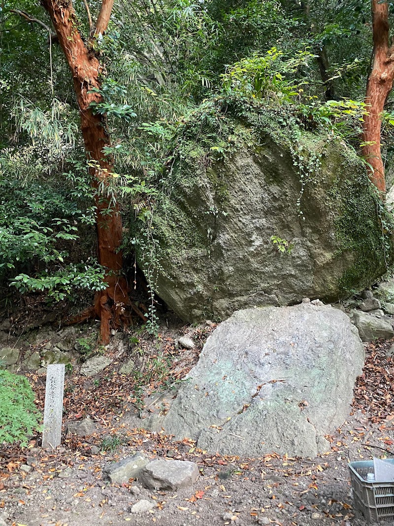 弥谷寺の博打(バクチ)の木