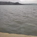 Photo n°10 de l'avis de Valerio.a fait le 11/02/2024 à 14:14 sur le  Ristorante Al Capannone Trevignano Romano à Trevignano Romano