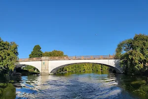 Albert Bridge image