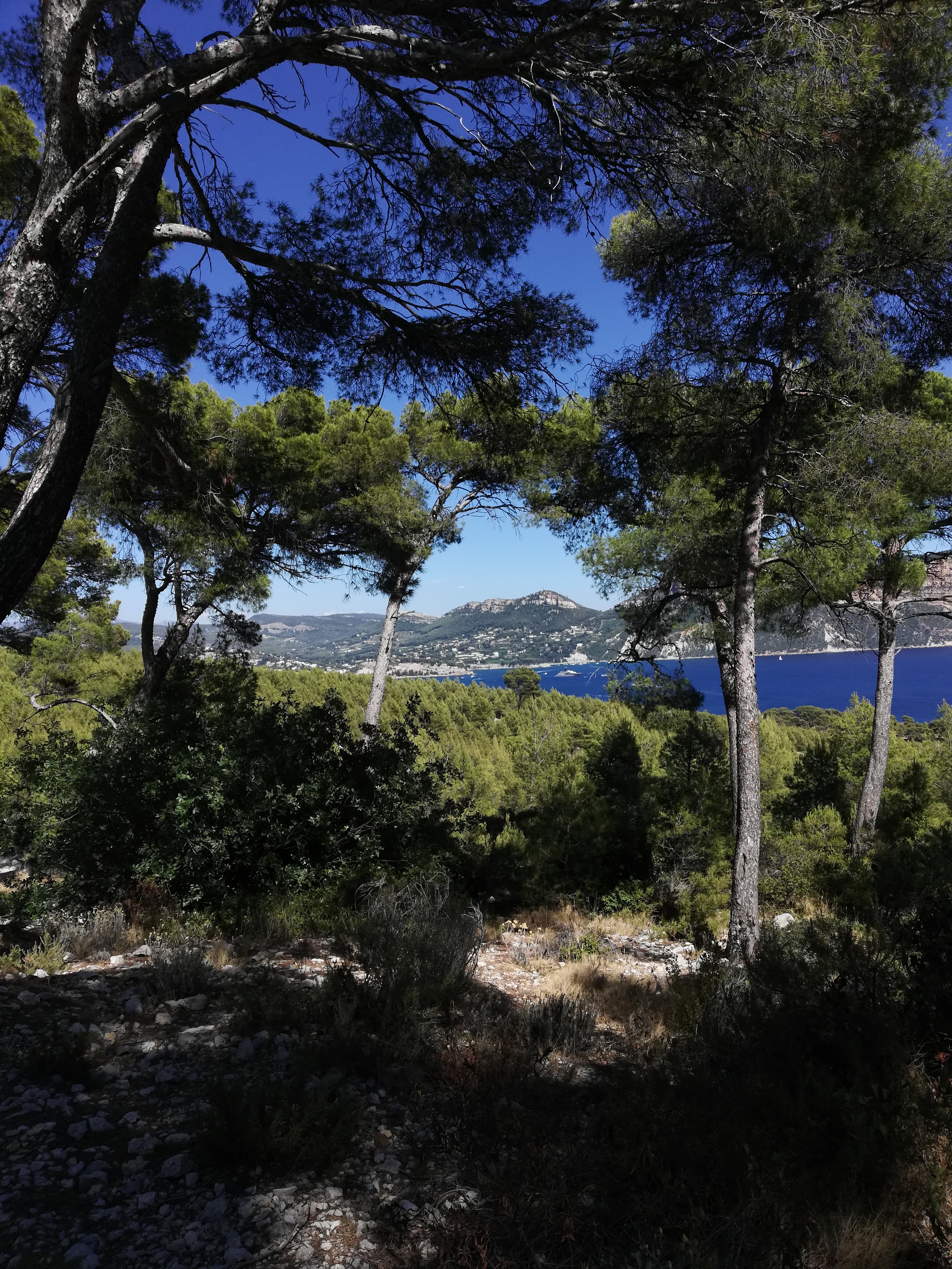 Photo n° 8 de l'avis de EMMANUEL.O fait le 12/08/2019 à 12:15