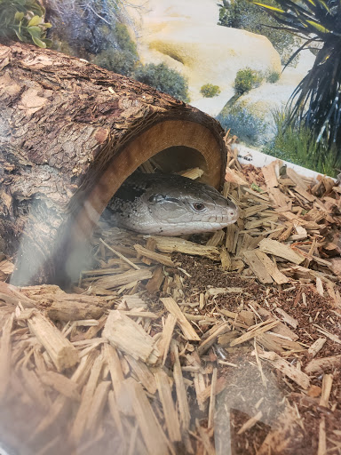 Pet Supply Store «Pet Supplies Plus», reviews and photos, 3733 Union Rd #200, Cheektowaga, NY 14225, USA