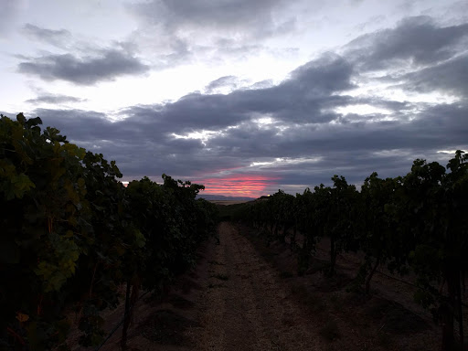 Winery «Sawtooth Winery», reviews and photos, 13750 Surrey Ln, Nampa, ID 83686, USA