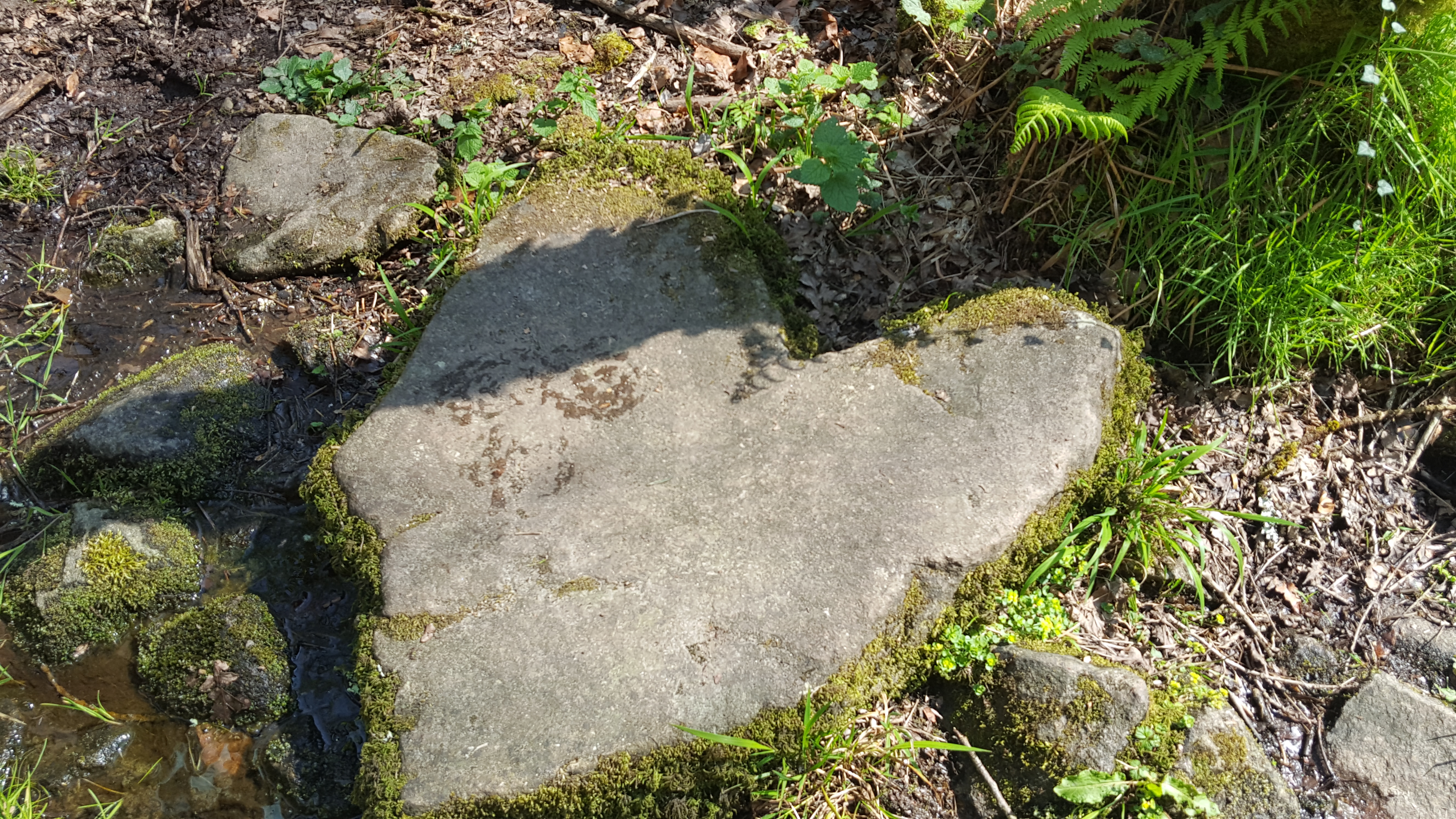 Photo n° 5 de l'avis de lpsainbioz.a fait le 12/04/2019 à 16:10