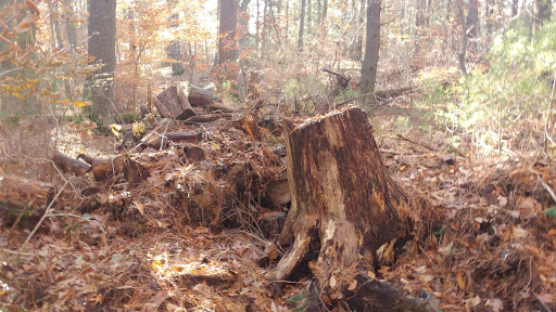 Park «Oliver Mill Park», reviews and photos, Nemasket St, Middleborough, MA 02346, USA