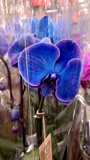 Home Improvement Store «The Home Depot», reviews and photos, 3901 Vineyard Dr, Dunkirk, NY 14048, USA