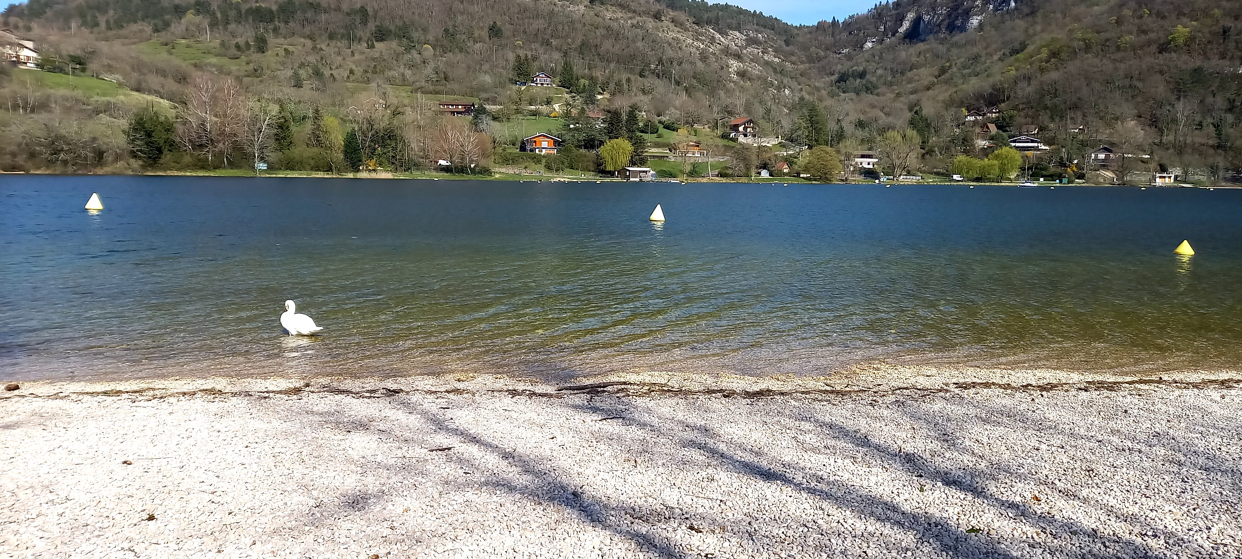 Photo n° 1 de l'avis de Mya.a fait le 05/04/2023 à 18:14