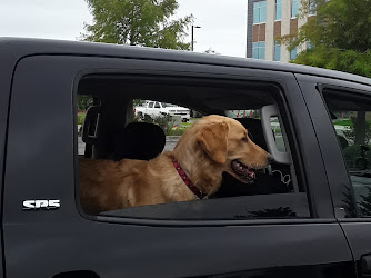 Needham Animal Hospital