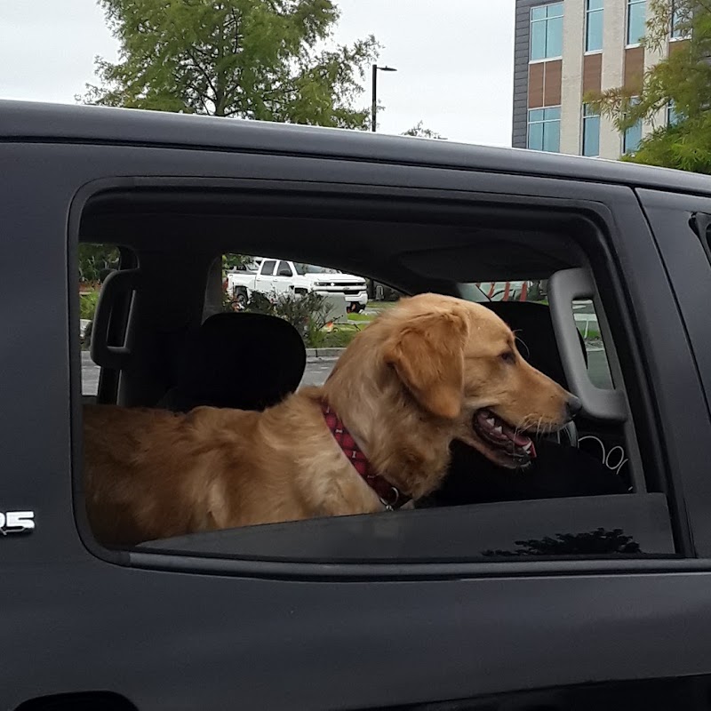 Needham Animal Hospital