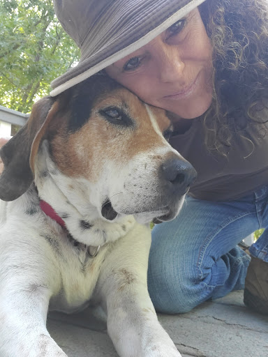 Animal Protection Organization «Humane Society of Sedona Inc», reviews and photos