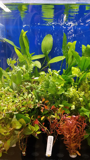 Pet Supply Store «Petco Animal Supplies», reviews and photos, 1080 Washington Square Center, Washington, MO 63090, USA