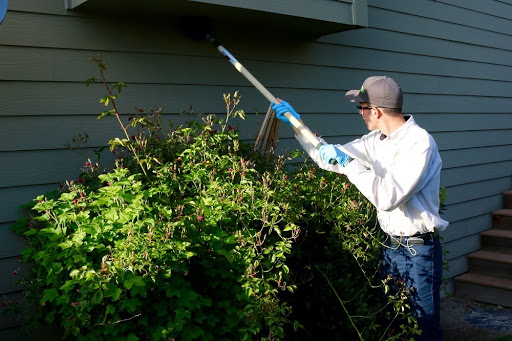 Pest Control Service «Croach», reviews and photos