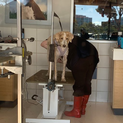 Pet Supply Store «Petco Animal Supplies», reviews and photos, 3012 Bridgepointe Pkwy, San Mateo, CA 94404, USA