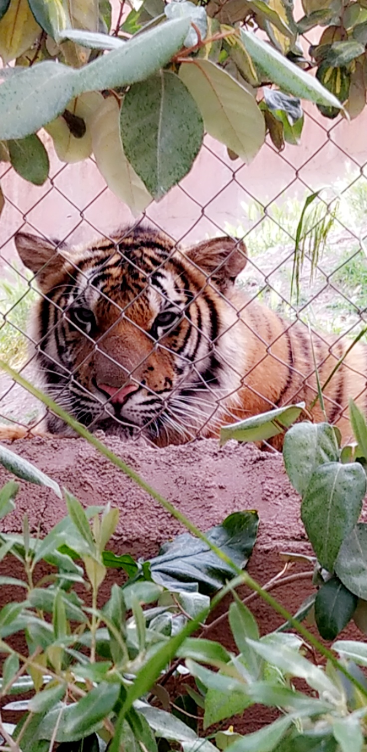 Photo n° 2 de l'avis de Marlène.h fait le 24/05/2022 à 18:48