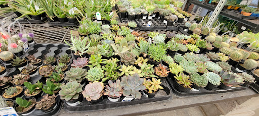 Electronics Store «Best Buy», reviews and photos, 13711 W Bell Rd, Surprise, AZ 85374, USA