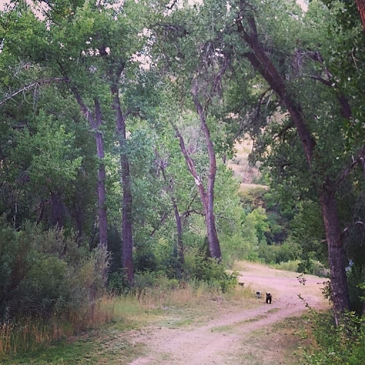 Mediterranean Restaurant «FelFel Mediterranean, Fresh Rotisserie Grill, DTC», reviews and photos, 4401 S Tamarac Pkwy, Denver, CO 80237, USA