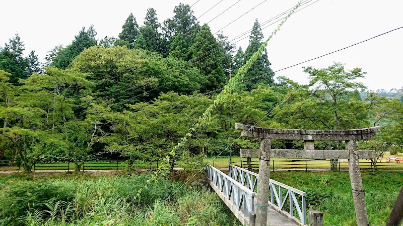 菅沢神社社叢