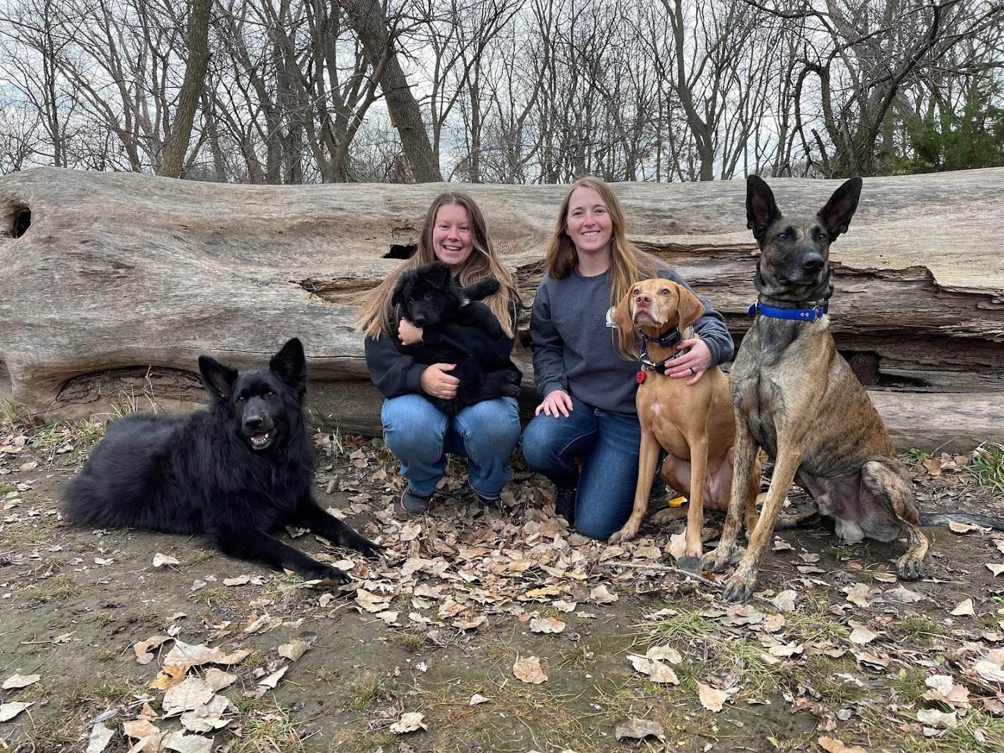 Nebraska Dog Trainers