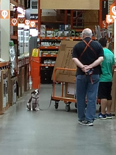 Home Improvement Store «The Home Depot», reviews and photos, 116 Walker Ave, West Berlin, NJ 08091, USA