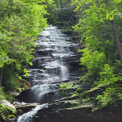 Lye Brook Falls Trail