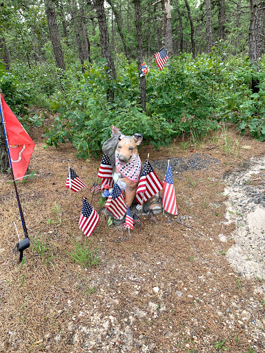 Auto Parts Store «Joy Auto Parts Store», reviews and photos, 267 US-22, Dunellen, NJ 08812, USA