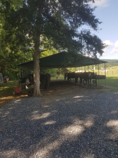 Tourist Attraction «Jordan Hollow Stables», reviews and photos, 657 Pine Grove Rd, Stanley, VA 22851, USA