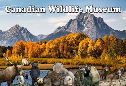 Canadian Wildlife Museum and Gift Shop