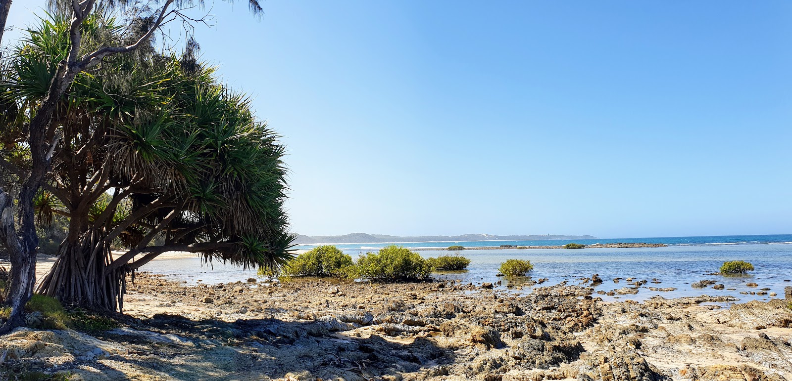 Diggers Camp Beach photo #9