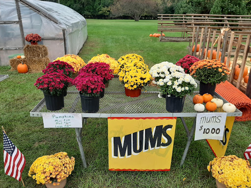 Florist «McClure-Parkhurst Florist», reviews and photos, 25815 W 10 Mile Rd, Southfield, MI 48033, USA