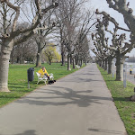 Photo n°9 de l'avis de 1946karl. fait le 18/03/2024 à 19:27 sur le  Restaurant Graf von Rüdesheim à Rüdesheim am Rhein