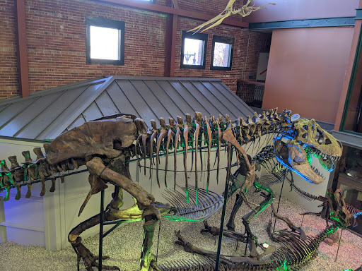 Museum «Museum of World Treasures», reviews and photos, 835 E 1st St N, Wichita, KS 67202, USA