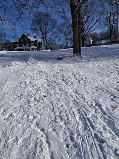 Park «ROGERS PARK», reviews and photos, 30 Rogers Park Ave, Boston, MA 02135, USA