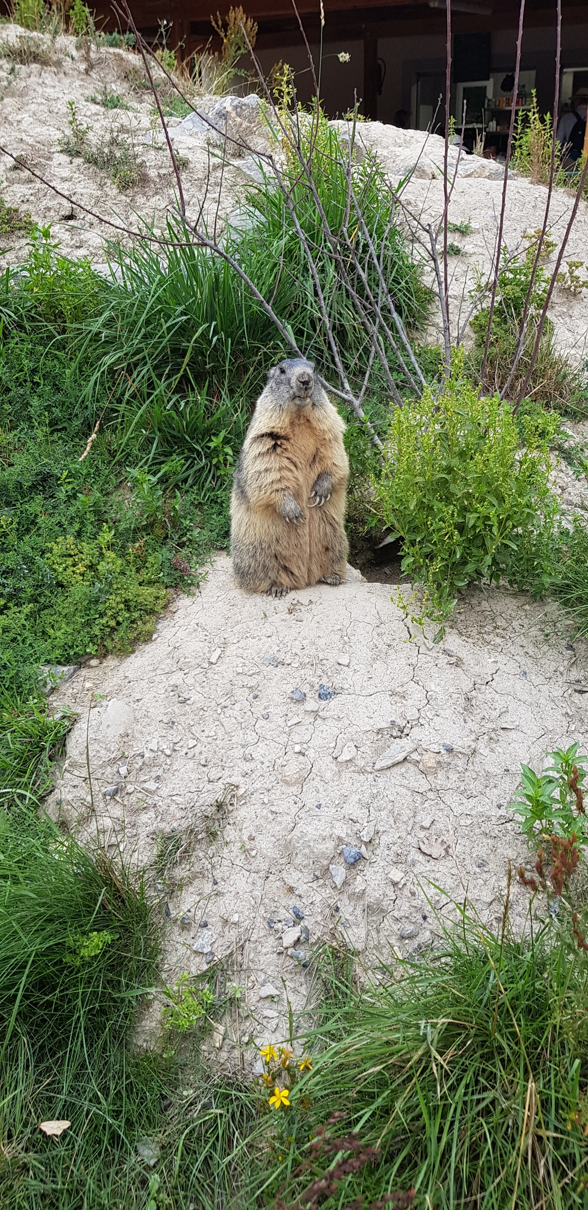 Photo n° 3 de l'avis de dams1710. fait le 20/08/2018 à 18:02