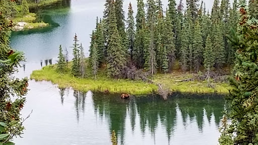 National Park «Denali National Park and Preserve», reviews and photos, George Parks Hwy, Denali National Park and Preserve, AK, USA