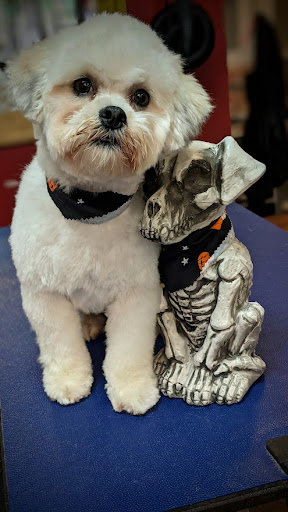 Pet Groomer «A Klassy Lassie, LLC», reviews and photos, 30 Old Jackson Rd, McDonough, GA 30252, USA