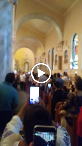 Saint Vincent de Paul Roman Catholic Church image