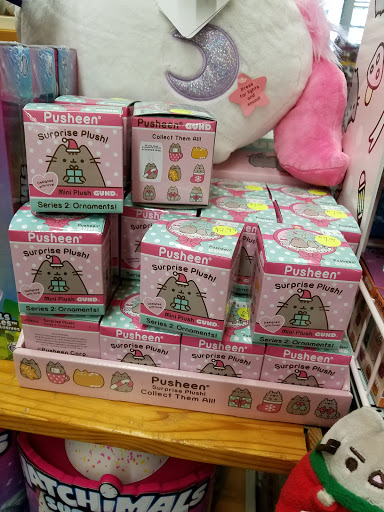 Toy Store «Dancing Bear Toys Ltd», reviews and photos, 418 N Main St, Hendersonville, NC 28792, USA